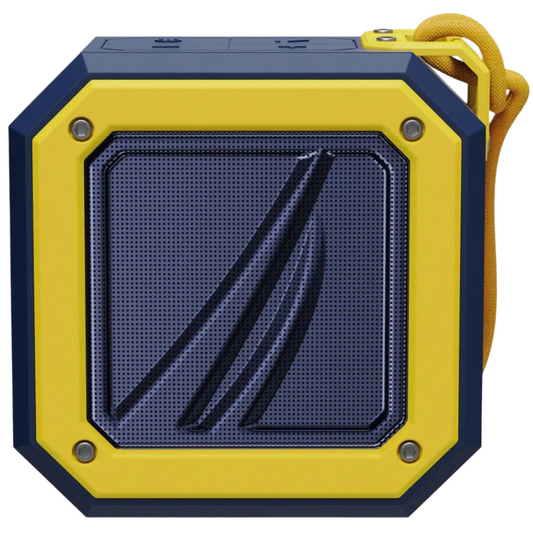 portable speaker with strap 